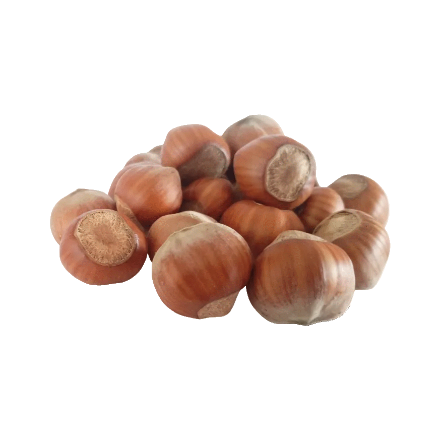 Hazelnut