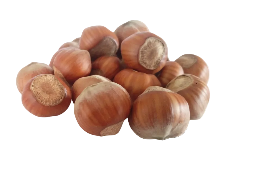 Walnut Product