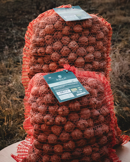 BIO Orechy v škrupine kalibrované KÁLLAI vo vreci